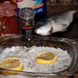 Специи, соль и лимон для приготовления рыбы Дорада